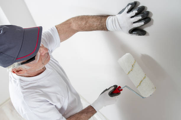 Best Mold Remediation for Healthcare Facilities  in Fennville, MI