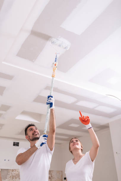 Mold Removal for HVAC Installations in Fennville, MI