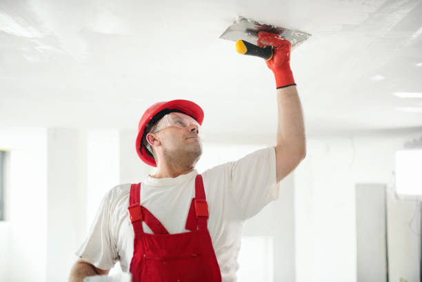 Best Airborne Mold Testing  in Fennville, MI