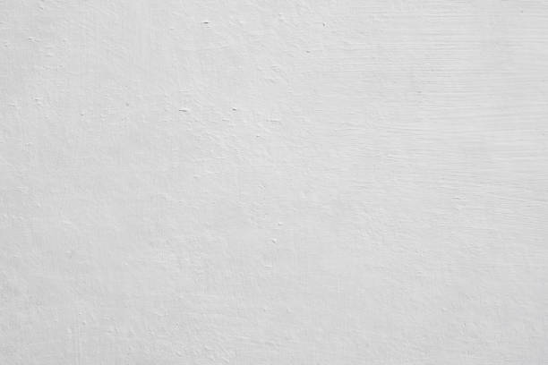 Best Black Mold Removal  in Fennville, MI
